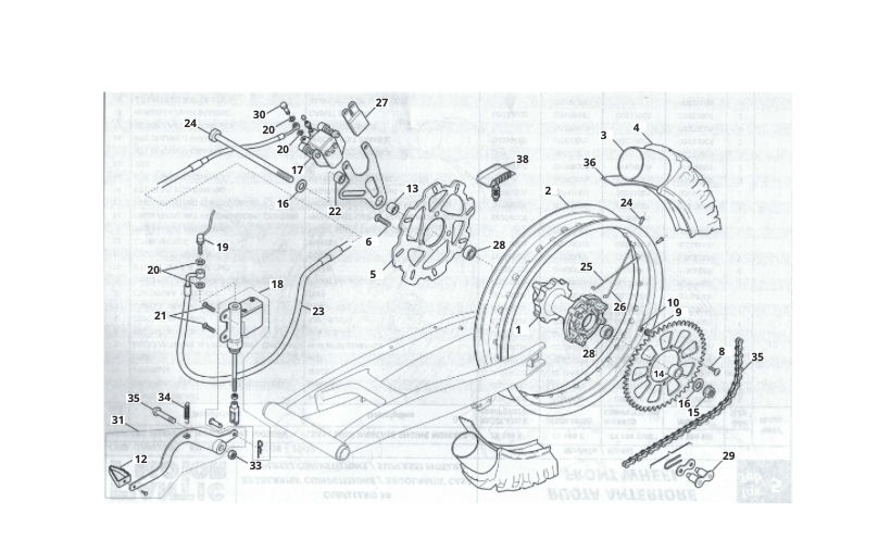 eBIq4Z3DVS_6 - roue arrière (CABALLERO 50 MY 2007:2008:2009 - REGOLARITà COMPETIZIONE - MOTARD COMPETIZIONE).png